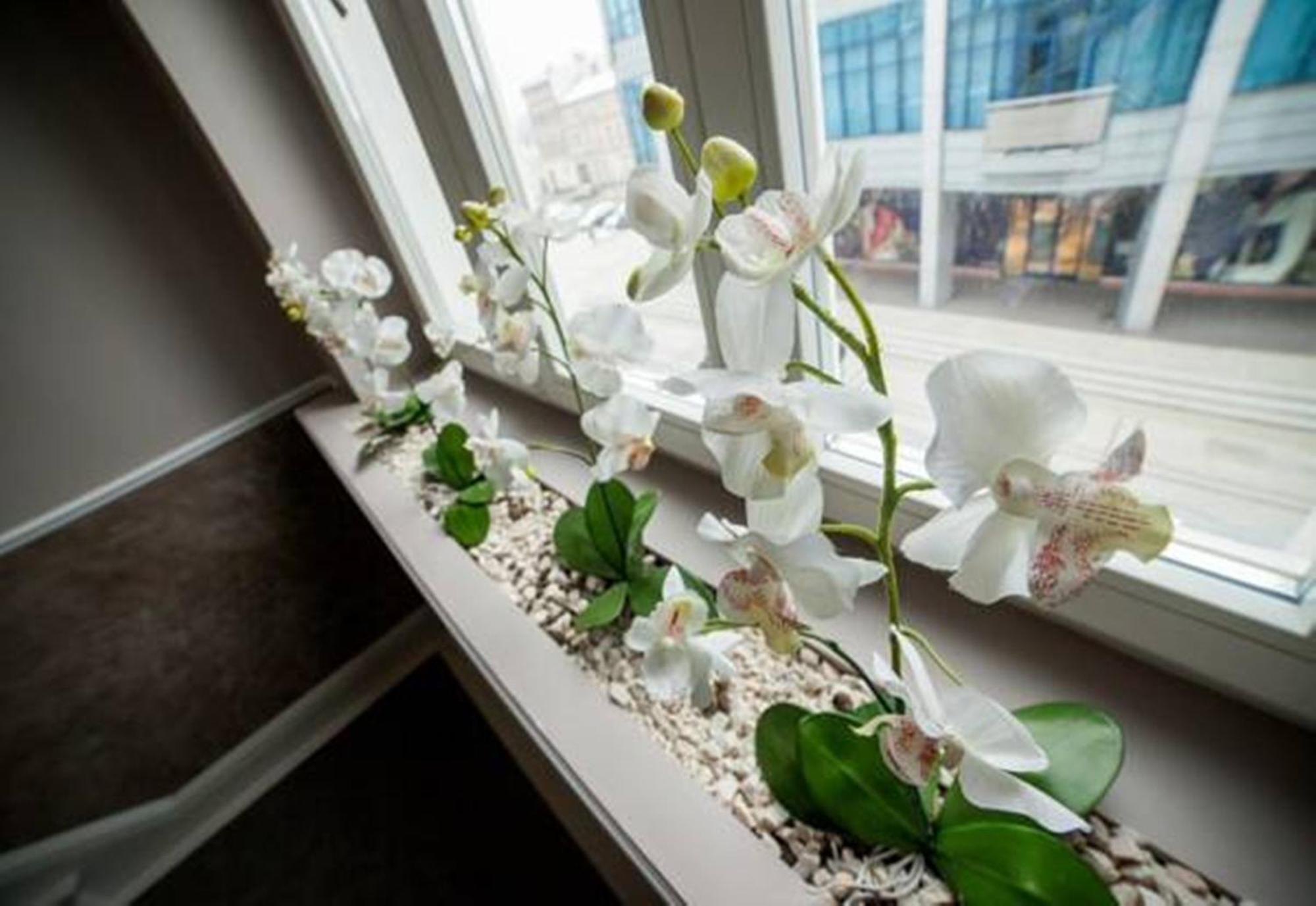 Aparthotel Platinum Apartamenty Inowroclaw Luaran gambar